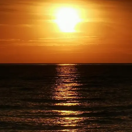 Dolphin House 4* Łeba