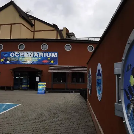 Nocleg ze śniadaniem Dolphin House Łeba