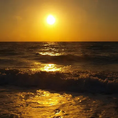 Dolphin House ليبا