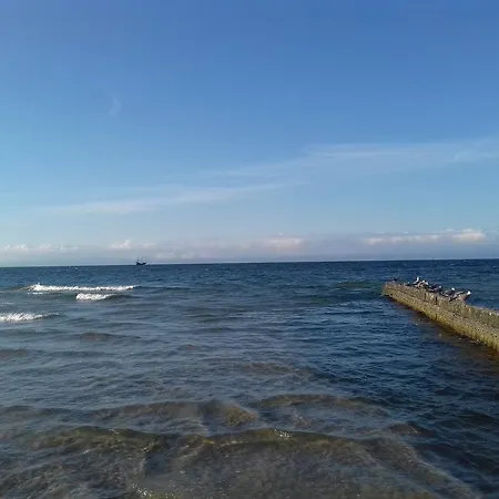 Dolphin House Nocleg ze śniadaniem