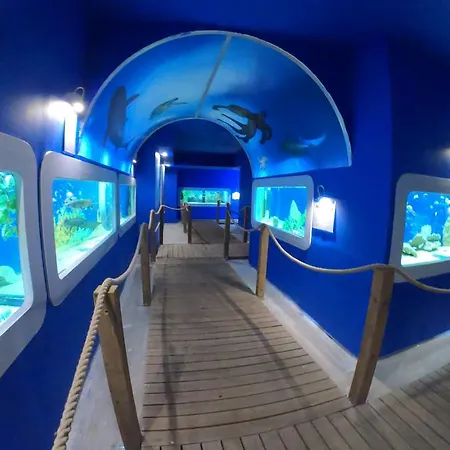 Dolphin House Nocleg ze śniadaniem 3*