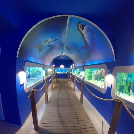 Dolphin House فندق مبيت وإفطار ليبا