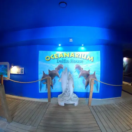 Dolphin House فندق مبيت وإفطار