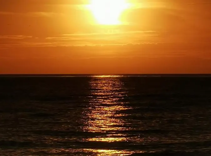 Dolphin House 4* Łeba