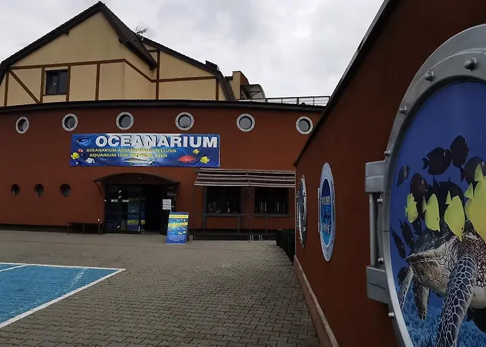 Nocleg ze śniadaniem Dolphin House Łeba