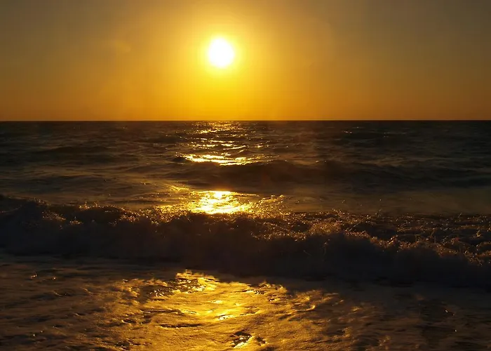 Dolphin House Леба