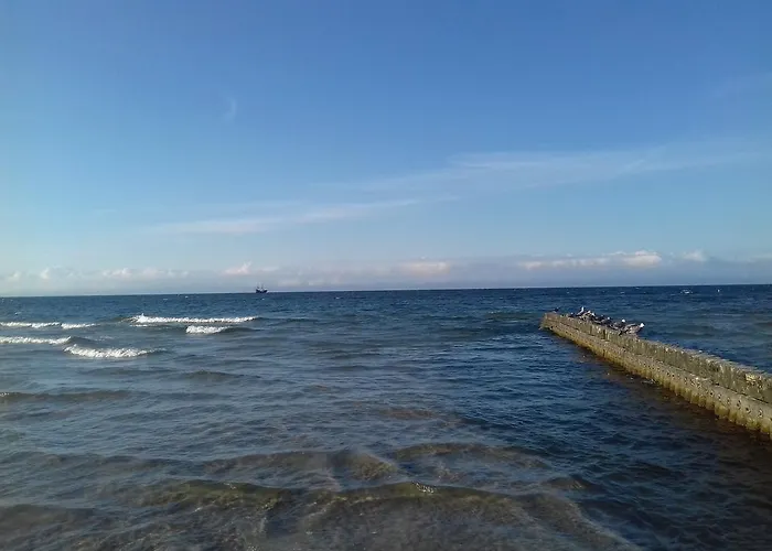 Dolphin House Отель типа 