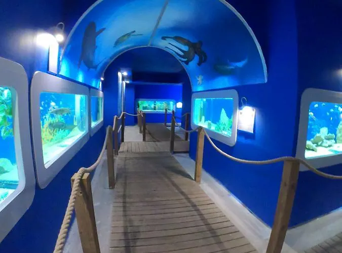 Dolphin House Nocleg ze śniadaniem 4*