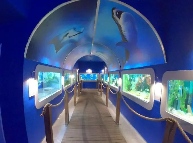Dolphin House Отель типа 