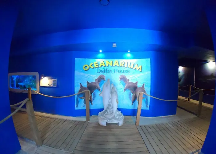 Dolphin House Nocleg ze śniadaniem