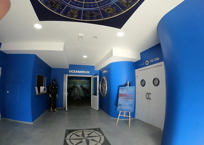 Dolphin House Nocleg ze śniadaniem